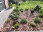 Boomschors (sierschors/tuinschors)/GRATIS LEVERING IN BELGIE, Verzenden, Boomschors