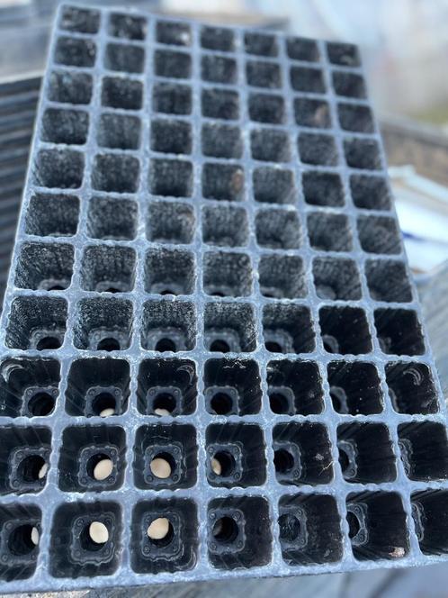 Stekplaat zaaiplaat plantplaat met 77 gaten, Tuin en Terras, Bloempotten, Zo goed als nieuw, Kunststof, Binnen, Balkon, Tuin, Minder dan 40 cm