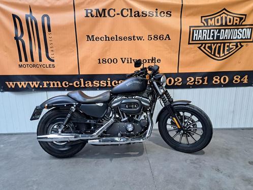 Harley-Davidson SPORTSTER - IRON 883, Motos, Motos | Harley-Davidson, Entreprise, Chopper