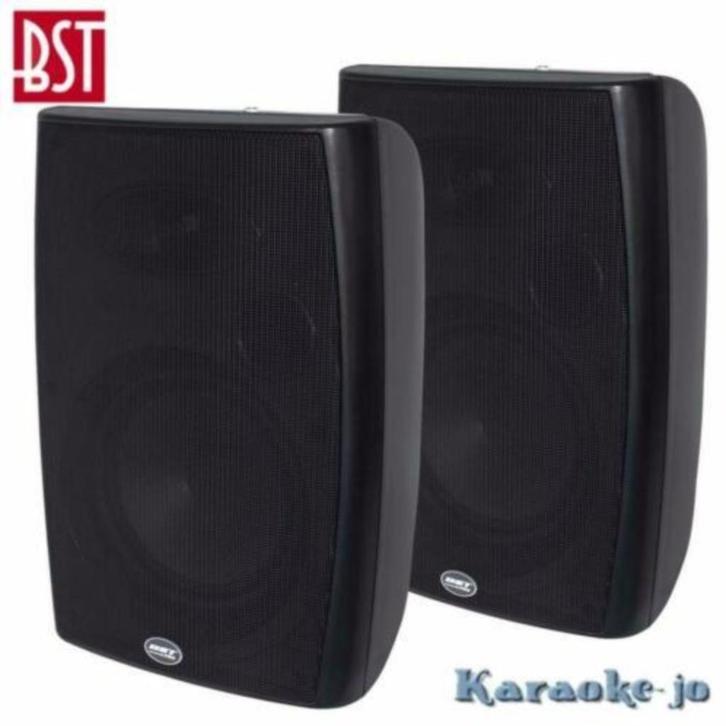 BST 270T 100Volt Luidspreker set 2-weg 30 Watt, Audio, Tv en Foto, Luidsprekerboxen, Nieuw, Overige typen, Ophalen of Verzenden