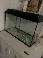Aquarium 60L, Dieren en Toebehoren, Ophalen of Verzenden, Zo goed als nieuw