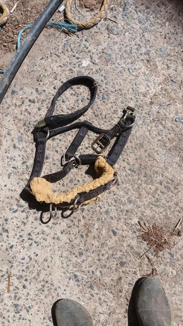 Nylon kaptoom COB  beschikbaar voor biedingen