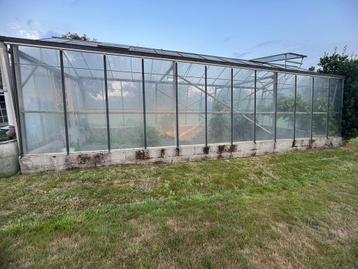 Serre 9m x 3m80 x 3m beschikbaar voor biedingen