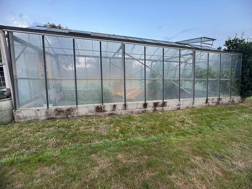 Serre 9m x 3m80 x 3m, Tuin en Terras, Kassen, Zo goed als nieuw, Kweekkas, Aluminium, Glas, Ophalen