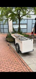 Ijsfiets- ijsbakfiets- ijskar - ijswagen (Paul & Ernst), Goederen, Elektrisch, Zo goed als nieuw, Ophalen