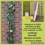Hekwerk voor klimmende planten klimrek tuinrek plantenrek, Ophalen of Verzenden, Nieuw, IJzer