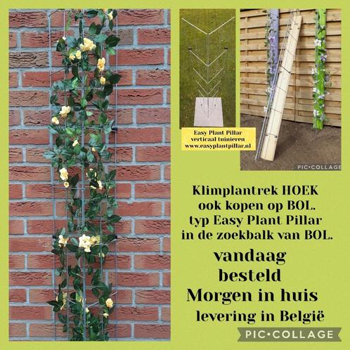 Hekwerk voor klimmende planten klimrek tuinrek plantenrek, Tuin en Terras, Tuinhekken en Hekwerk, Nieuw, IJzer, Ophalen of Verzenden