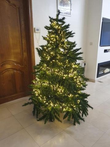Kerstboom 1m80 beschikbaar voor biedingen