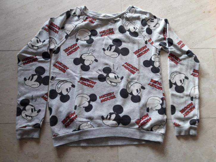 Bloes Disney H&M  170, Kinderen en Baby's, Kinderkleding | Maat 170, Zo goed als nieuw, Meisje, Trui of Vest, Ophalen of Verzenden