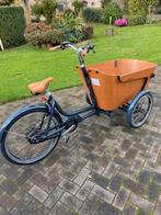 Bakfiets Carve Mountain met veiligheidscertificaat ., Ophalen, Nieuw, 2 kinderen, Elektrisch