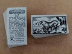Interesting Animals complete set 50 dieren chromos 1953, Verzamelen, Ophalen of Verzenden, 1940 tot 1960, Dier, Prent