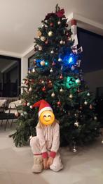 Kerstboom 2.40 meter, Diversen, Kerst, Ophalen