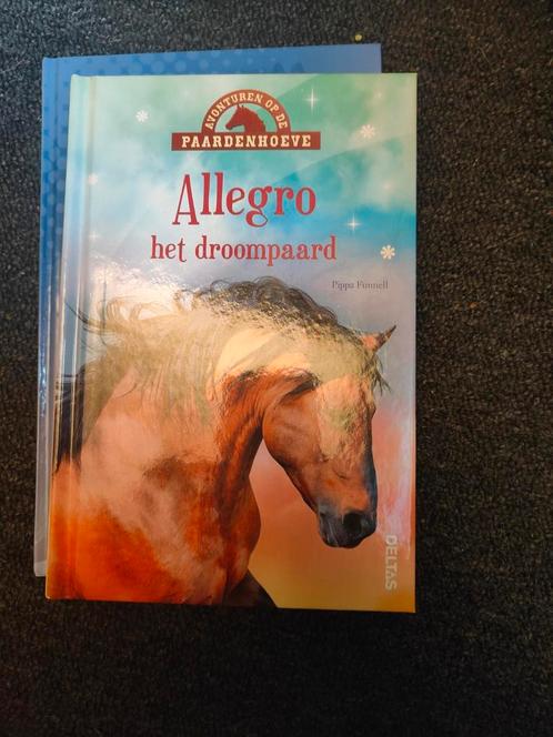 Pippa Funnell - Allegro, Boeken, Kinderboeken | Jeugd | onder 10 jaar, Zo goed als nieuw, Ophalen