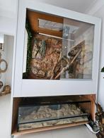 Terrarium complet, Dieren en Toebehoren, Ophalen of Verzenden