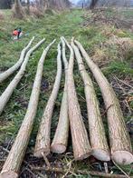 Wilgenpoten, Ophalen