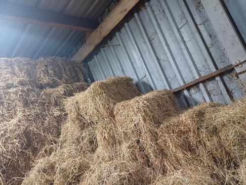 Hooi (niet voor paarden), Dieren en Toebehoren, Dierenvoeding, Ophalen of Verzenden