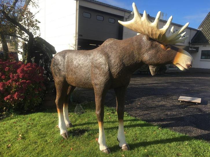 Eland -Edelhert-beeld-eland-herten kop -ware grootte, Tuin en Terras, Tuinbeelden, Nieuw, Dierenbeeld, Kunststof, Ophalen of Verzenden