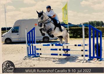 11 jarig recreatie ruin, B, Ruin, 160 tot 165 cm, 11 jaar of ouder