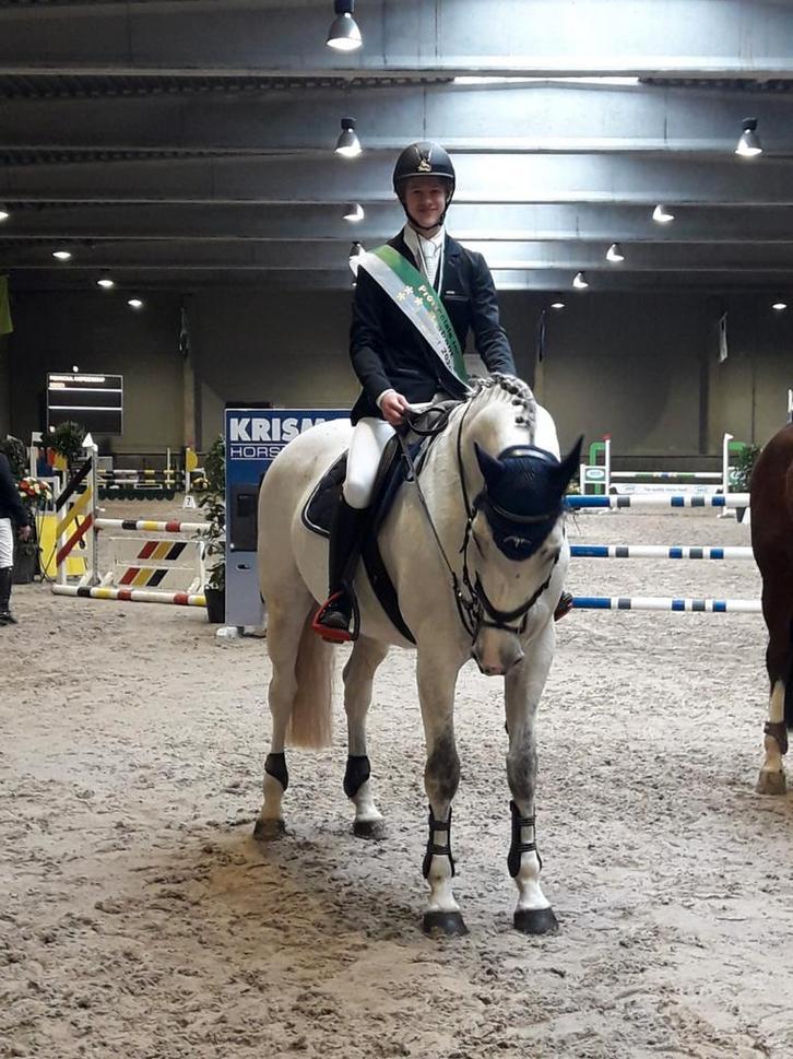 Super brave merrie, ideaal leerpaard, Dieren en Toebehoren, Paarden en Pony's | Verzorgingsproducten, Zo goed als nieuw, Ophalen of Verzenden