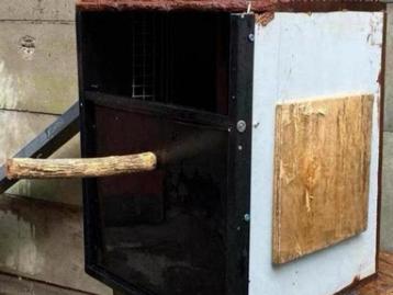 Broedblok voor ara 50x50x65 beschikbaar voor biedingen