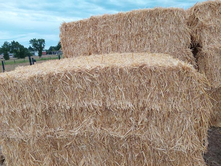 hooi stro, Zakelijke goederen, Landbouw | Tractoren, tot 2500, Overige merken, meer dan 160 Pk, Nieuw, Ophalen of Verzenden