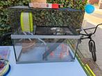 Hamster kooi, Dieren en Toebehoren, Ophalen, Zo goed als nieuw, Kooi, Hamster