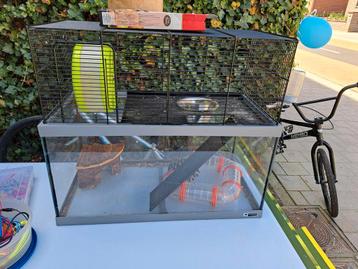 Hamster kooi  beschikbaar voor biedingen