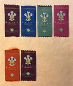 Aalst carnaval nominette, Enlèvement, Neuf