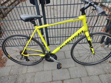Specialized  beschikbaar voor biedingen