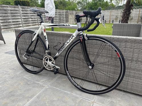 koersfiets '' 54'' 10speed Gianni Motta perfecte staat, Fietsen en Brommers, Fietsen | Racefietsen, Zo goed als nieuw, Heren, 15 tot 20 versnellingen