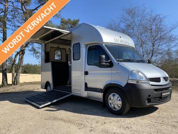 Renault Master Paragan 2-paards paardenvrachtwagen MARGE Aut beschikbaar voor biedingen