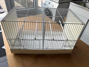 broedkooien, kooien, kanarie kweekkooien, kooien voor vogels beschikbaar voor biedingen