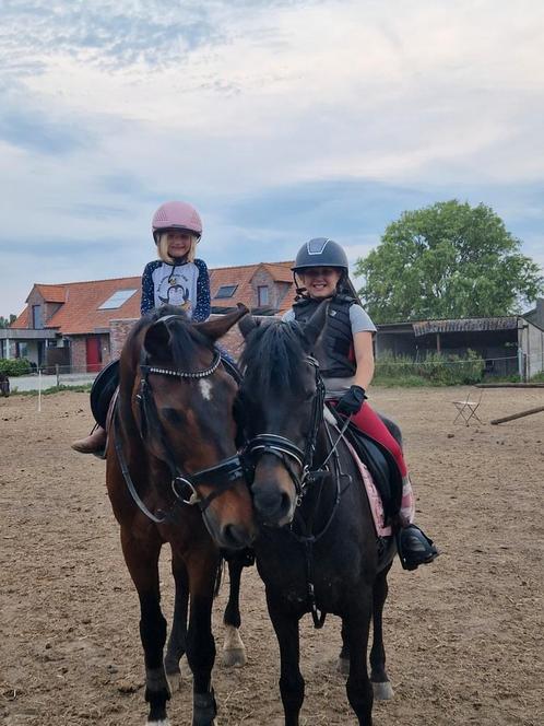 Paarden/pony's op u feest!!, Diensten en Vakmensen, Kinderfeestjes en Animatie