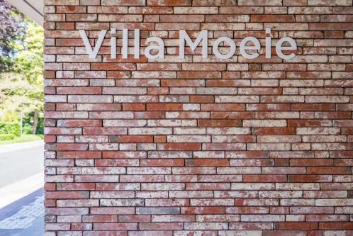 Appartement te huur in Eeklo, 1 slpk, Immo, Huizen te huur, Appartement, A