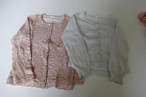gilet : Microbe, gilet: CKS: 6 jaar, Kinderen en Baby's, Kinderkleding | Maat 116, Zo goed als nieuw, Meisje, Trui of Vest, Ophalen of Verzenden