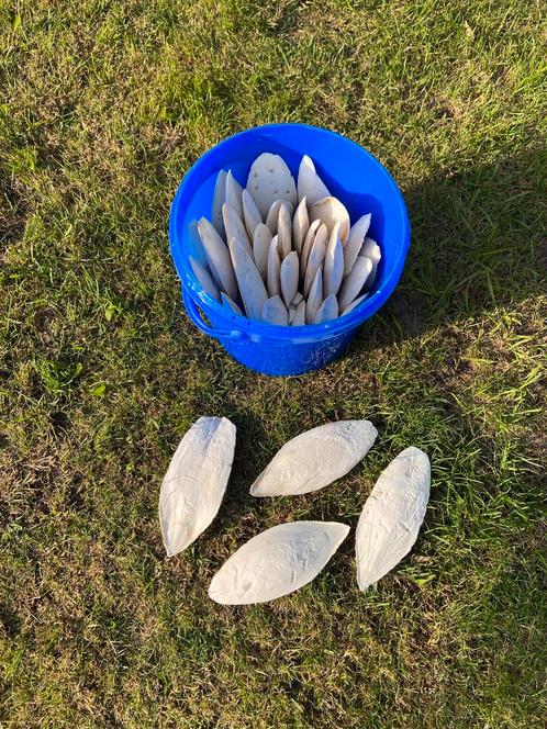 Sepia schelpen, Dieren en Toebehoren, Vogels | Hokken en Kooien, Zo goed als nieuw, Ophalen