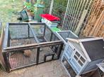 **GRATIS VANDAAG HALEN**   2 Konijnen met konijnkot, Ophalen, Gebruikt, 60 tot 90 cm, Konijn