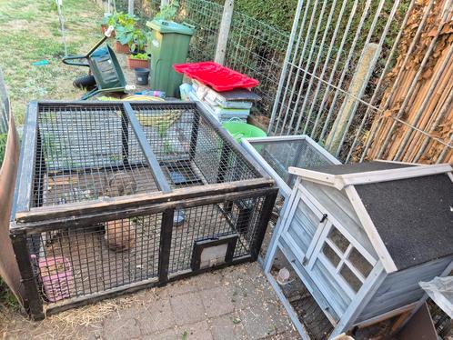 **GRATIS VANDAAG HALEN**   2 Konijnen met konijnkot, Dieren en Toebehoren, Knaagdieren en Konijnen | Hokken en Kooien, Gebruikt