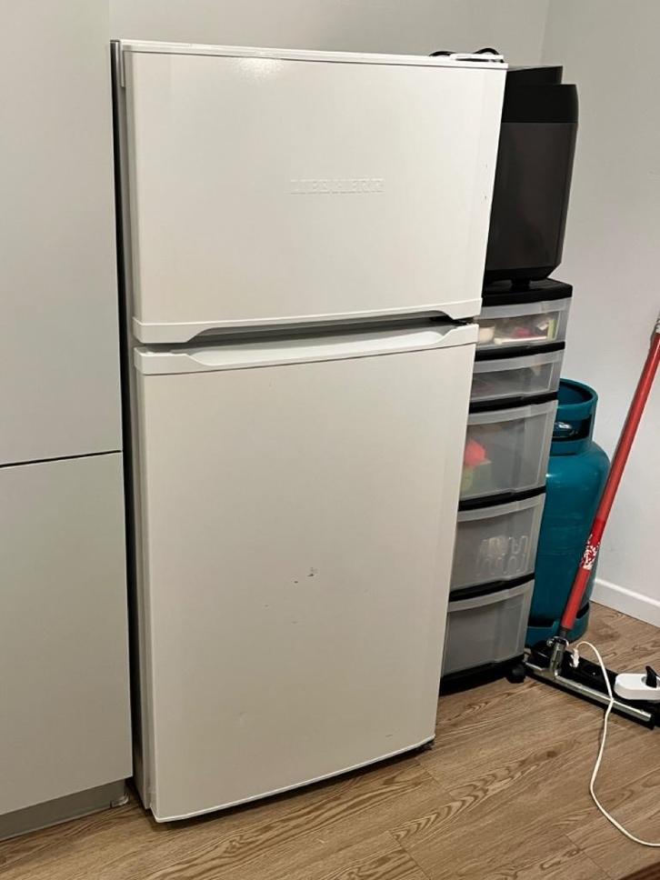 Liebherr koelkast met vriesvak met defect, Elektronische apparatuur, Koelkasten en IJskasten, Niet werkend, Met vriesvak, 150 tot 200 liter