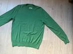 Mooie geklede trui Terre Bleue mt L, Kleding | Heren, Maat 52/54 (L), Ophalen of Verzenden, Groen, Gedragen
