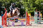 2 gouden top pony’s, Dieren en Toebehoren, Merrie, Z