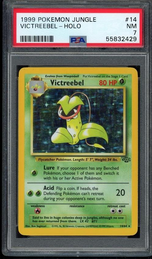 Victreebel Holo PSA 7 - 14/64 - Jungle 1999, Hobby & Loisirs créatifs, Jeux de cartes à collectionner | Pokémon, Comme neuf, Cartes en vrac