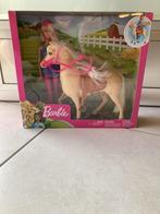 Barbie en haar paard FXH13, Ophalen, Zo goed als nieuw, Barbie