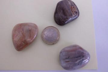 knuffelstenen versteend hout - 12 voor  8 euro !   beschikbaar voor biedingen