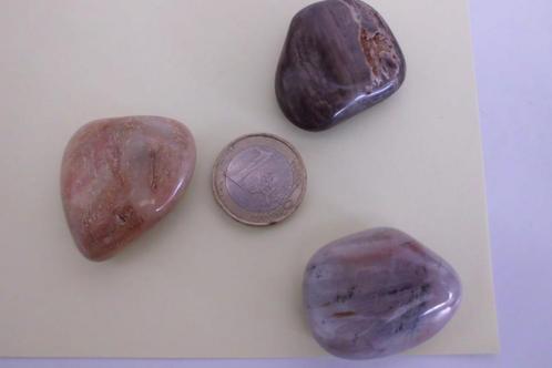 knuffelstenen versteend hout - 12 voor  8 euro !, Verzamelen, Mineralen en Fossielen, Ophalen of Verzenden