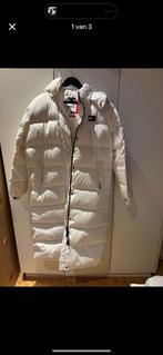 Tommy hilfiger winter jas, Ophalen, Maat 48/50 (M), Wit, Nieuw