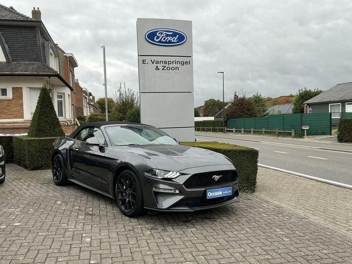 Ford Mustang EcoBoost, Auto's, Ford, Te koop, Mustang, ABS, Adaptive Cruise Control, Airbags, Alarm, Android Auto, Apple Carplay