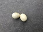 Kalk eieren/ valse eieren voor kippen, Dieren en Toebehoren, Pluimvee
