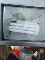 Sensor buitenlamp nieuw, Ophalen of Verzenden, Nieuw, 50 tot 200 watt, Lamp met armatuur