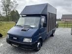Véhicule utilitaire Iveco 1996, Iveco, Achat, 3 places, 4 cylindres